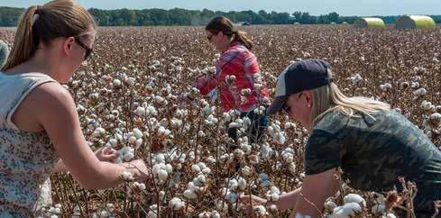 Retailer partners learn how U.S. cotton is grown, cleaned, baled and classed during the 2015 Cotton Farm Tours in Memphis, TN.