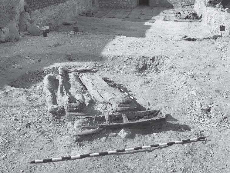 EXCAVATIONS AT THE COURTYARD OF THE TOMB OF DJEHUTY 209 Fig. 2. Two decorated coffins date to the Twenty-First Dynasty.