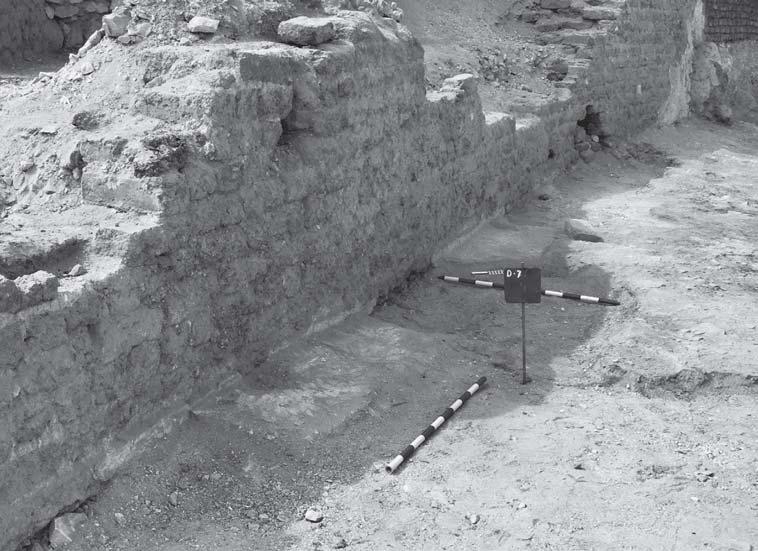 EXCAVATIONS AT THE COURTYARD OF THE TOMB OF DJEHUTY 215 Fig. 6. South-western mud brick sidewall of the court, and remains of the carbonated mud mortar covering the artificial floor.