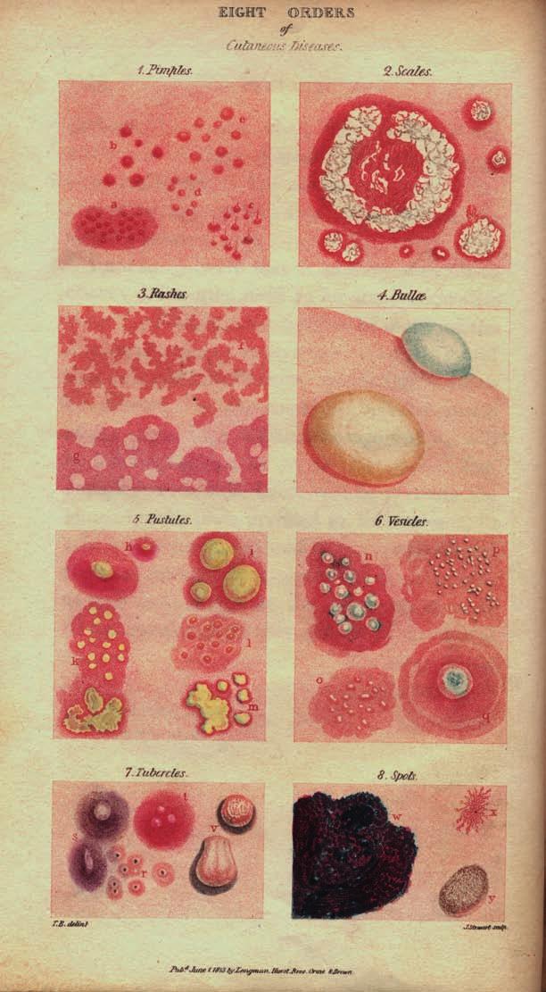 Chapter 2 Figure 2.1 Eight orders of cutaneous diseases.