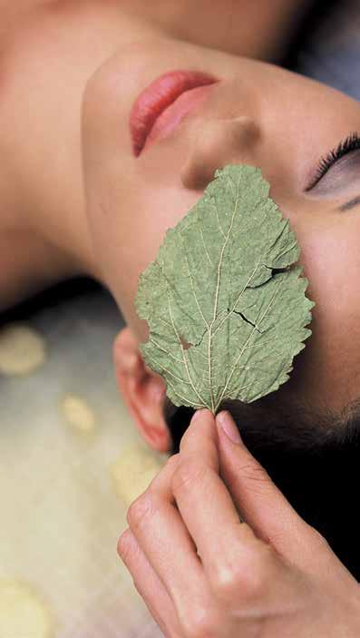 honey & chocolate detox ritual eco-green body treatment organic facial & body wrap Enjoy an urban retreat in our warm and welcoming sanctuary, and experience a rejuvenating, eco-conscious approach to