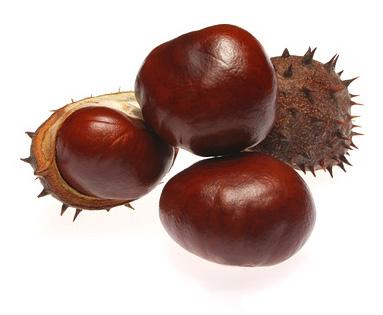 HORSE CHESTNUT EXTRACT BOT-HOCHEX-01 Botanical Extracts Description: Natural Horse Chestnut extract made from whole plant. Other parts, for example, the bark have been used as a yellow dye.