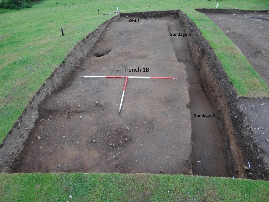 Fig 7: Photo to illustrate the location of Trench 1B, Sondage A and the Cist. North is to the top of the image. Section 6 runs along the east edge of sondage A.