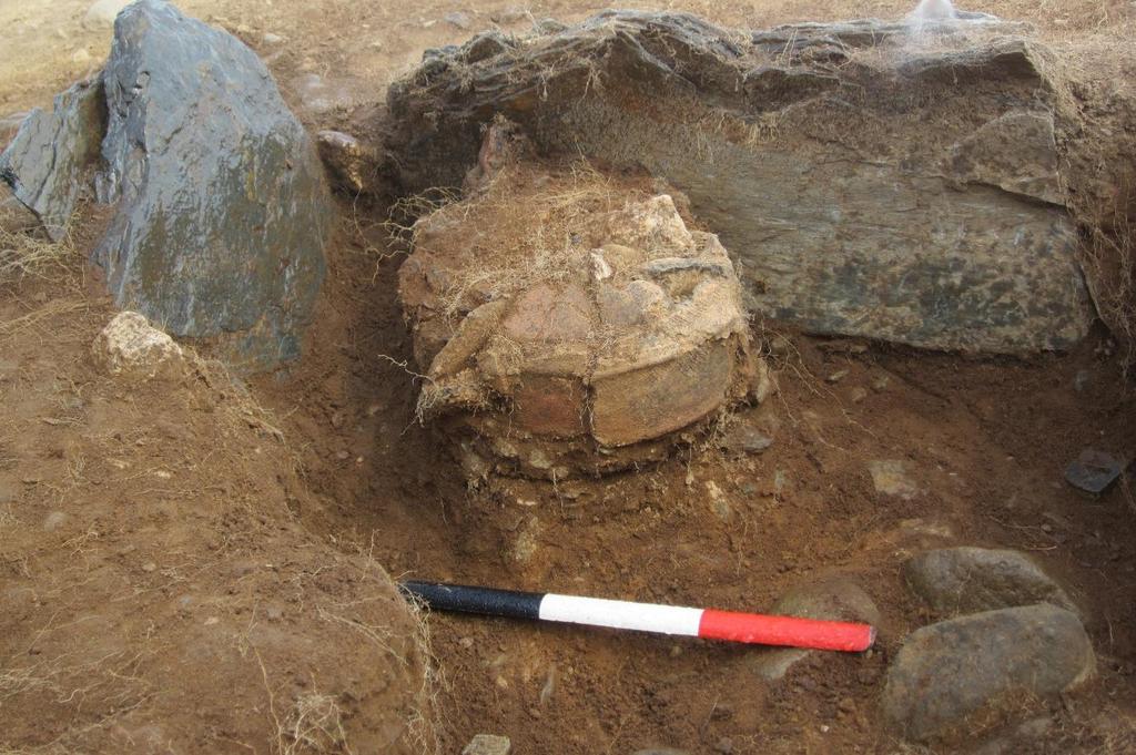 Fig 16: Vessel FN063 revealing during excavation of (1010). Photo: Chris Fowler.