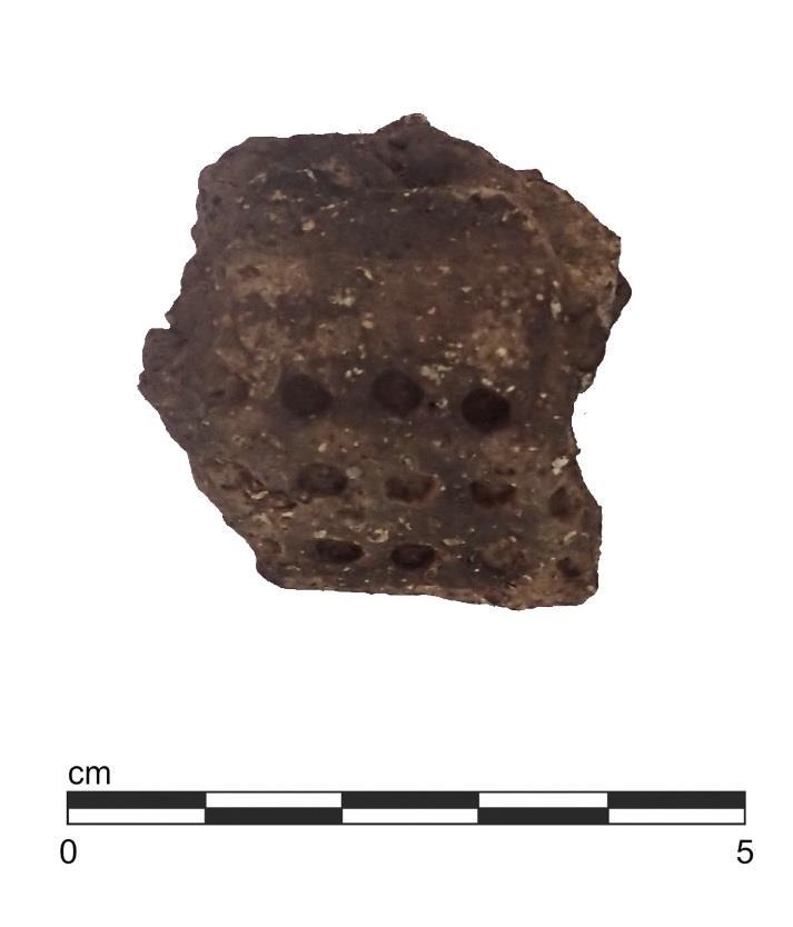Fig 28: Ceramic sheds, likely Medieval. Find Number 017, Context (1003).