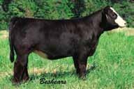 DS07 maybe the first Executive Order progeny to hit the auction block, and what a way to start.
