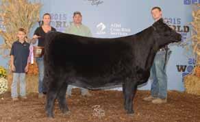 Heifer Ohio County Preview Show & Southeastern Indiana Spring Classic;