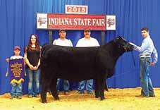 Expo 1st in Class; 2015 IA Simmental Field Day 1st in Class & 6th Overall Foundation