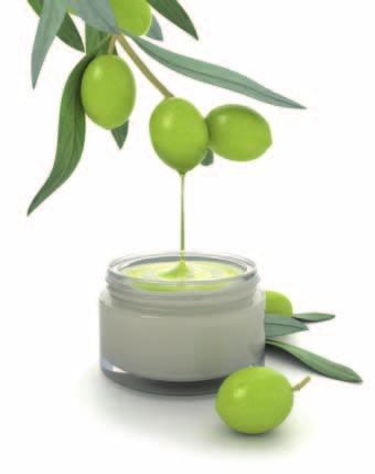 ACTIVE INGREDIENTS Active ingredients of natural origin are increasingly demanded in today s market. Our new range of natural actives meets this need and proves our expertise in green chemistry.