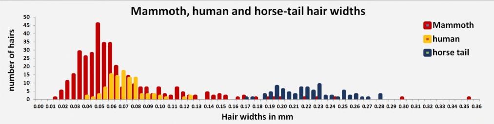 Make a frequency histogram chart of your hair length or hair widths.