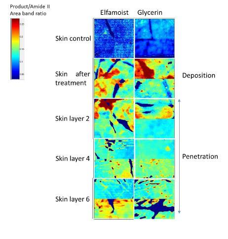Evaluation of Moisturizing Ingredient - Delivery and Hydration via ATR-FTIR imaging In a study conducted by TRI Princeton, the efficacy of ElfaMoist AC humectant was measured and compared with