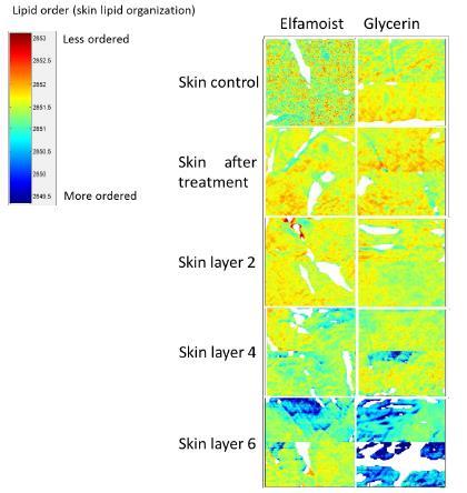 Skin Barrier To better understand the effects of the product application on the skin, TRI/Princeton also verified if both active penetrations disturbed the skin barrier.