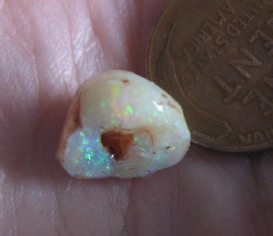 23. $700 IMG_0897 Sea Snail (Euspira) Gem solid brilliant 12mm x 11mm x 9mm very rare collectable, make a great ring or pendant 4.