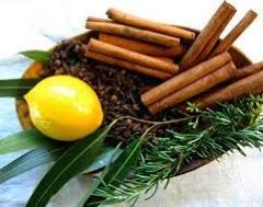 Anti-microbial blend (lemon, clove, eucalyptus, cinnamon bark, rosemary) Story of the Four Thieves - grave robbers in France during 14th century/bubonic plague times didn t get sick, so a judge