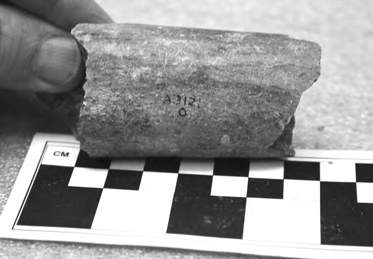 Mortuary Remains Recovered at the Palmer-Redondo Site (CA-LAN-127) 101 weighs 248 g. It is relatively nondescript; perhaps it was a pigment stone.