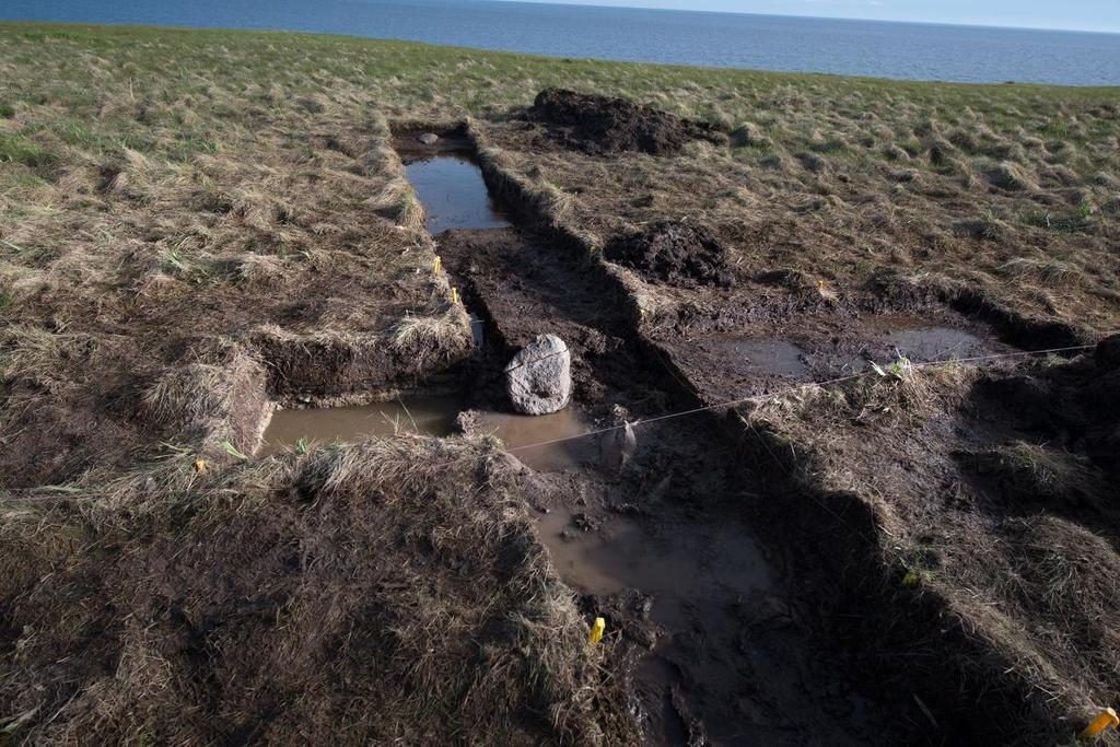 The Stuff of Legends Was Point Rosee a Viking outpost a thousand or so years ago? The evidence thus far is promising.