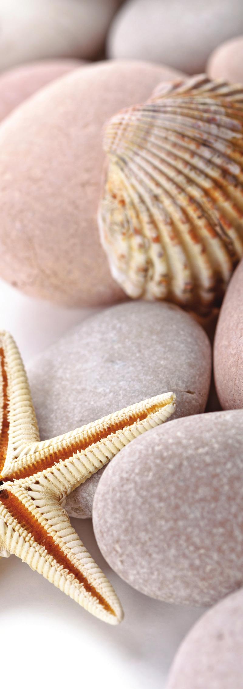 TIME TO RETREAT LAVA SHELL MASSAGE LAVA SHELL FULL BODY MASSAGE (50 mins) 65 This indulgent Lava Shells Relax Body Massage offers an idyllic treatment combining the warmth of the shells with deeply