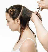 Start at the nape and cut to the desired length.