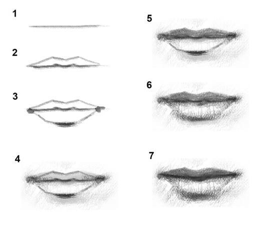 Exercise 4 - Closed and Smiling Mouths Mouths and Lips are made by sketching the correct angle of the mouth, and by careful observation of light