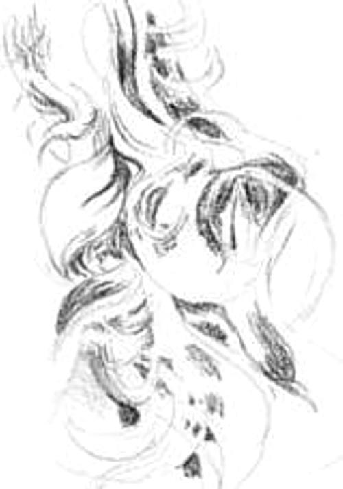 Exercise 5 Long Hair Drawing Strategy One of the most common mistakes is to attempt to draw every hair as a pencil-stroke.