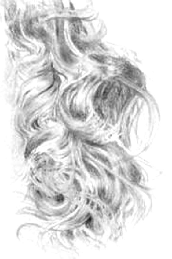 Now draw the mid-tones, with pencilstrokes following the direction of hair.