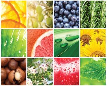 Vitamins and Minerals Enriched