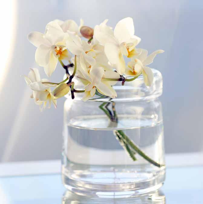 SIGNATURE TREATMENTS Myconian Signature Escape 1hr 20mins This treatment is designed to hydrate and nourish your skin.