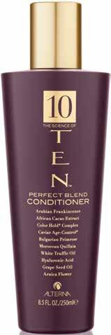 TEN TEN Perfect Blend Transform your Hair from Ordinary to Extraordinary The ultimate in hair care for even the most discerning hair experts.