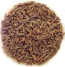 Seeds) 500g A worthy addition to