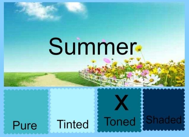 The Toned Summer In the 4x4 Color System, each of the general four seasons Winter, Autumn, Spring and Summer is divided into four specific subcategories.