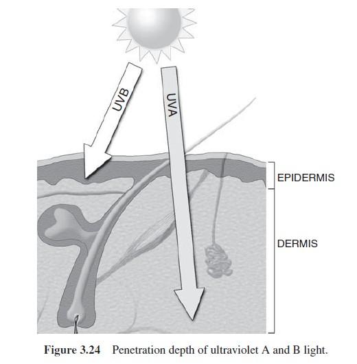 the UV radiation reaching the Earth s surface is largely composed of