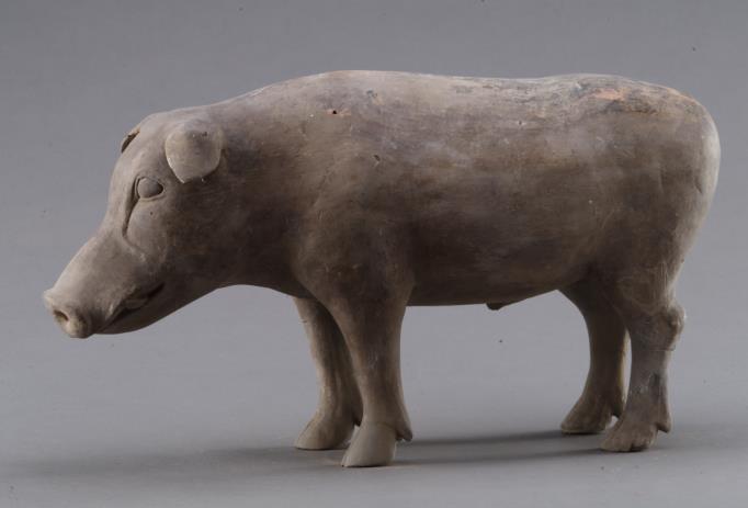 137. Inventory number: YG2456 Object title: Painted figure of a boar Dimensions: Length 43.7cm; Height 24cm; Width 14.