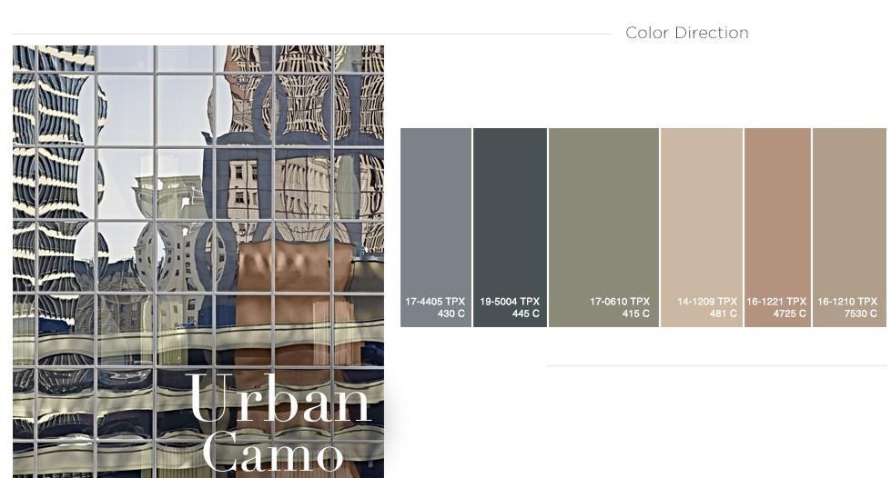 COLOR PREVIEW COLOR DIRECTION The gender-neutral mood expresses itself in a refined palette of browns and grays.