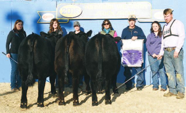 Congratulations, Rowell Cattle Company! Grand Champion Pen of Salers Optimizer Heifers at the 2016 National Western Stock Show in Denver comprised of Ward Ranches genetics.