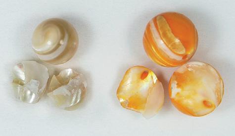 In recent years, beads fashioned from contemporary conch shells that are represented as fossil conch from the Himalaya Mountains have been sold in the Chinese market as Neptunian or Golden Tridacna