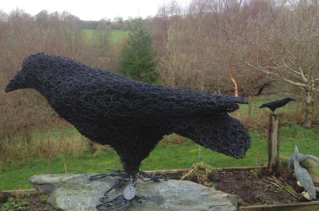 WILD WIRE CORVIDS Wire Crows/Rooks and Ravens were created from strong old farm wire and thatch netting which already has an inherent character and history