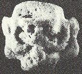 2.12 Head of Shu Dimensions: 13 x 14,1 x 8,3 (mm) Material: Faience Origin: Tal-Horob, Gozo Context: Burial Chronology: Not established