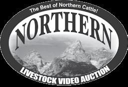 ner-Operator P.O. Box 368, Gordon, NE 69343 Sale Day Phone: 308/282-1171 If you are unable to attend the Marcy Cattle Company 50 th Annual Bull Sale, it will be broadcast live on the internet at www.
