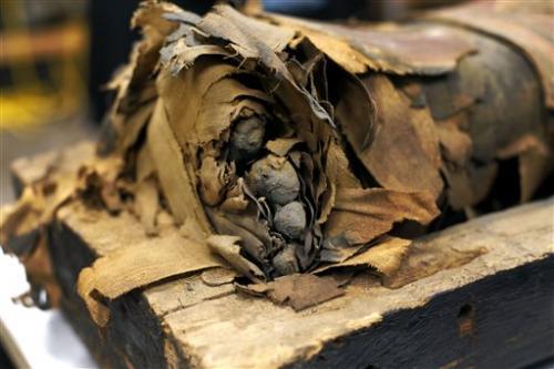Chicago museum lifts lid on Egyptian mummy coffin 8 December 2014, bycaryn Rousseau and his exposed toes lie in his opened coffin after J.P.