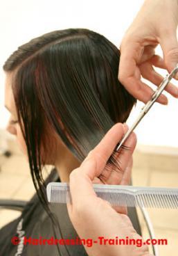 The hair is elevated to a stationery 45-degree angle and held between the fingers, with one finger width. The hair from the top box area should be allowed to fall into its natural or designed parting.