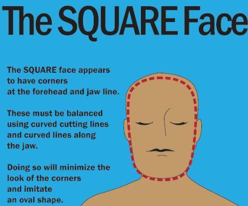 Continuing Page 110 of 114 SQUARE The square face shape is marked by appearing to have corners at the jaw and forehead. The overall effect is that the face appears somewhat boxy.