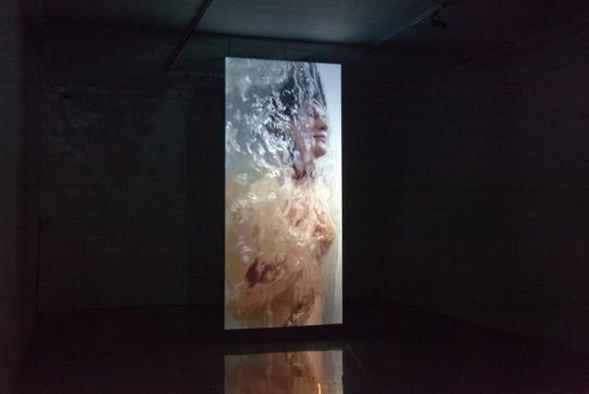 The exhibition THE FALL (video environment, 2013.) is comprised of three images-ambiences in a row, from an image of nothingness, to an image of creation, to an image of fall.