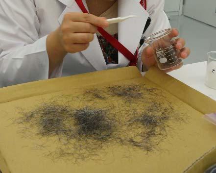 [Research Results] ~Examination of Method for Analysis of Lipid Components in Hair~ Hair collected from a sample of Japanese women was divided into grey and black hairs, and then tested (fig.1).