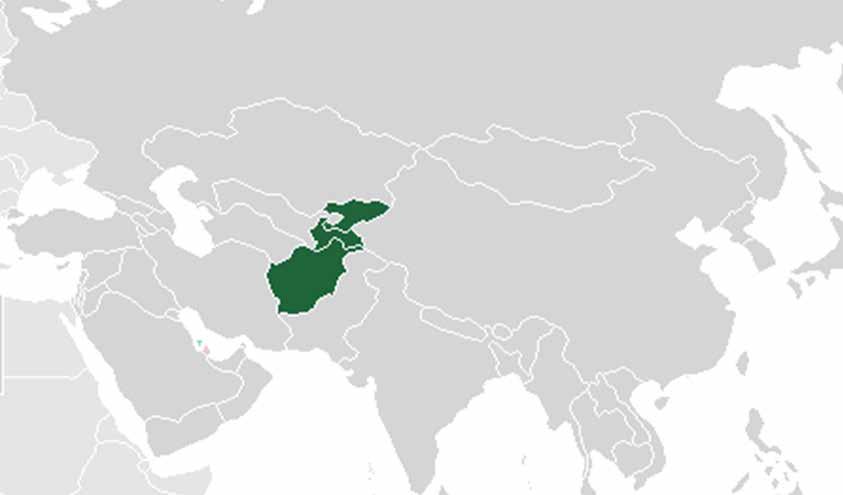 Key figures*, vision & mission Tajikistan Afghanistan Kyrgyzstan 3 MFIs 40,637 Active Clients 794 Staff Members USD 333m Disbursed since 2006 USD 33m Outstanding Portfolio USD 938 Average Loan Size