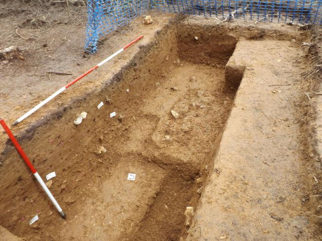 Figure 6. View of the natural clay-with-flint layer underlying the shallow ditch in Trench 8, looking westwards (photo: Worthing Archaeological Society) 6.