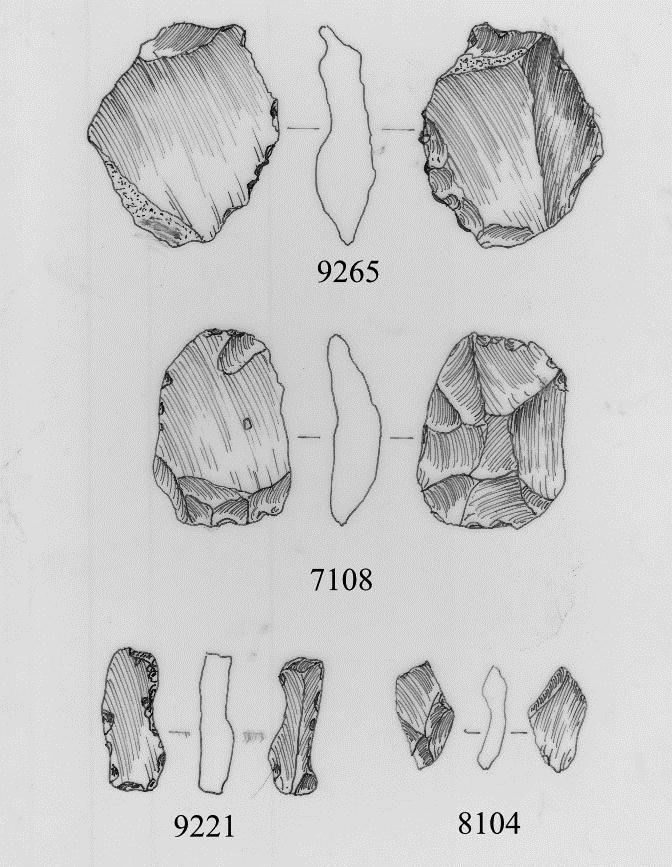 Goblestubbs Tools Fig 2.