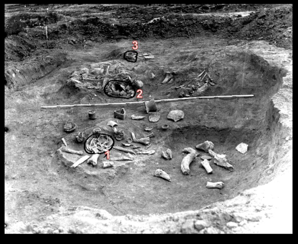 Figure S1.5: Picture of the Early Neolithic pit no. 3 (1995) from the Carcea site and location of three human skulls (after Haimovici 2006, modified).