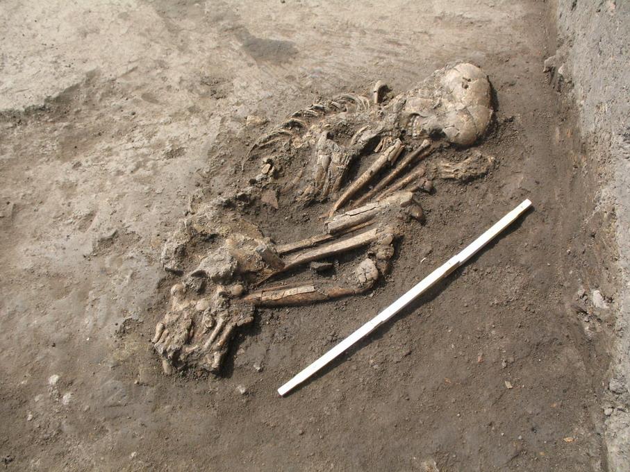 Figure S1.6: Picture of the Early Neolithic grave no. 1 from Cotatcu.