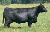 Brigade A71 CMB Precious P227 If you are looking for a purebred show heifer for next year, your search may be over.