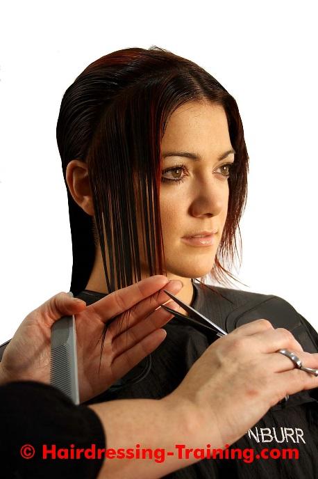 When you are learning this technique, it is probably better to work your sections from side to side. This allows you to see clearly how the balance and shape of your haircut are developing.